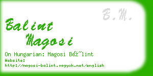 balint magosi business card